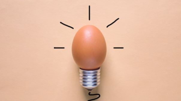 Light Bulb Egg shell 