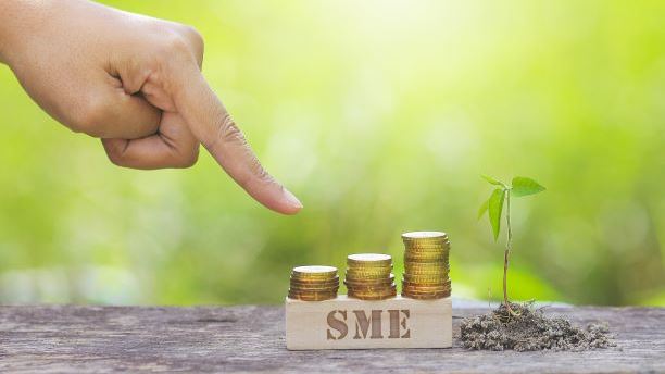 Hand pointing to tacks of coins on a block that says SME, next to a sprouting plant